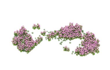 Field of grass isolated on white background. 3d rendering - illustration