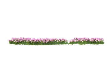 Field of grass isolated on white background. 3d rendering - illustration