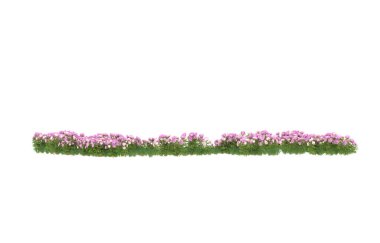 Field of grass isolated on white background. 3d rendering - illustration