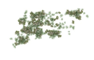 Field of grass isolated on white background. 3d rendering - illustration