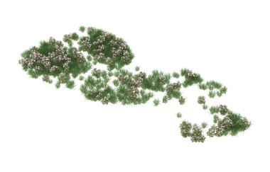 Field of grass isolated on white background. 3d rendering - illustration