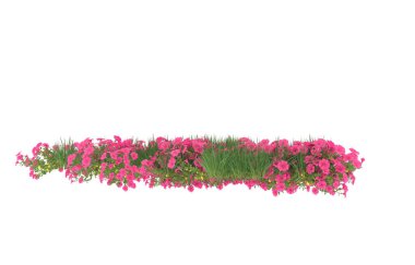 Field of grass isolated on white background. 3d rendering - illustration