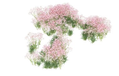 Field of grass isolated on white background. 3d rendering - illustration