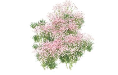 Field of grass isolated on white background. 3d rendering - illustration