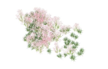 Field of grass isolated on white background. 3d rendering - illustration