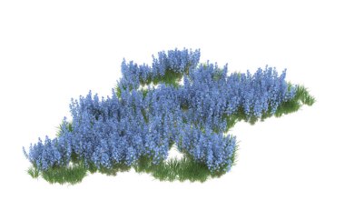 Field of grass isolated on white background. 3d rendering - illustration