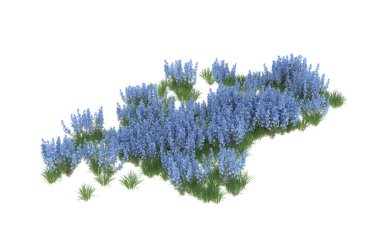 Field of grass isolated on white background. 3d rendering - illustration