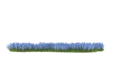 Field of grass isolated on white background. 3d rendering - illustration