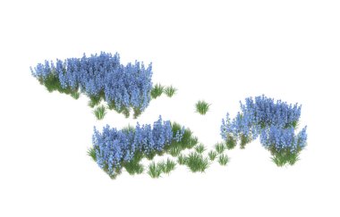 Field of grass isolated on white background. 3d rendering - illustration