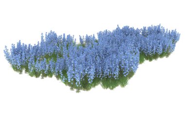 Field of grass isolated on white background. 3d rendering - illustration