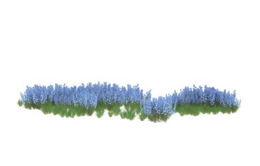 Field of grass isolated on white background. 3d rendering - illustration