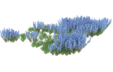 Field of grass isolated on white background. 3d rendering - illustration