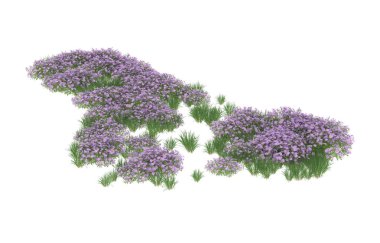 Field of grass isolated on white background. 3d rendering - illustration