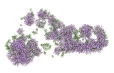 Field of grass isolated on white background. 3d rendering - illustration