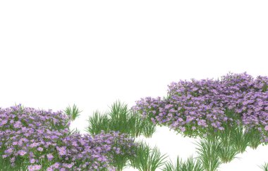 Field of grass isolated on white background. 3d rendering - illustration