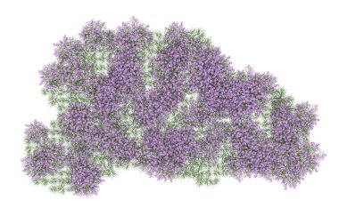 Field of grass isolated on white background. 3d rendering - illustration