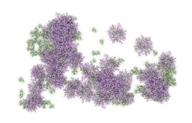 Field of grass isolated on white background. 3d rendering - illustration