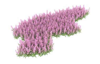 Field of grass isolated on white background. 3d rendering - illustration