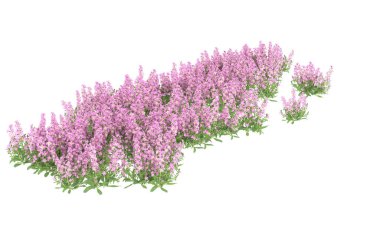 Field of grass isolated on white background. 3d rendering - illustration