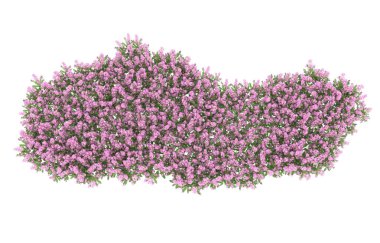 Field of grass isolated on white background. 3d rendering - illustration