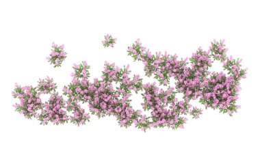 Field of grass isolated on white background. 3d rendering - illustration