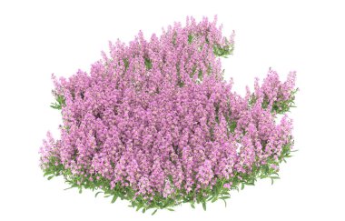 Field of grass isolated on white background. 3d rendering - illustration