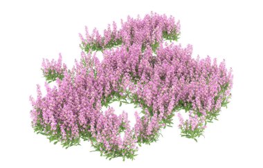 Field of grass isolated on white background. 3d rendering - illustration