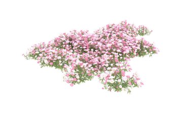 Field of grass isolated on white background. 3d rendering - illustration