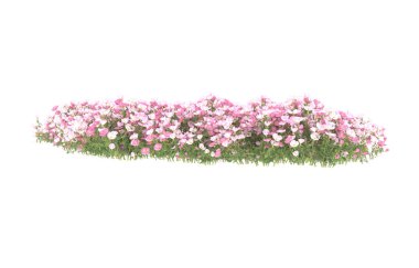 Field of grass isolated on white background. 3d rendering - illustration