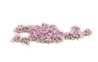 Field of grass isolated on white background. 3d rendering - illustration