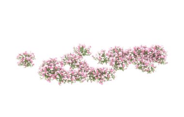 Field of grass isolated on white background. 3d rendering - illustration