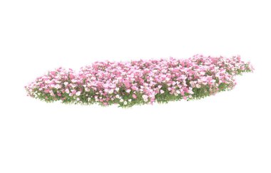 Field of grass isolated on white background. 3d rendering - illustration