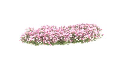 Field of grass isolated on white background. 3d rendering - illustration