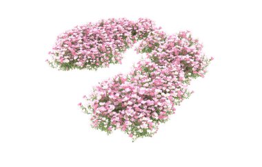 Field of grass isolated on white background. 3d rendering - illustration