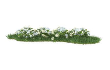 Field of grass isolated on white background. 3d rendering - illustration