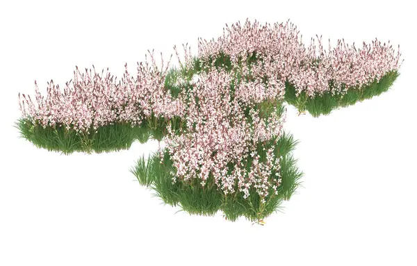 Field of grass isolated on white background. 3d rendering - illustration