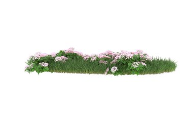 Field of grass with flowers isolated on white background. 3d rendering - illustration