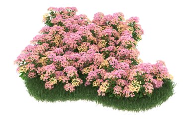 Field of grass with flowers isolated on white background. 3d rendering - illustration