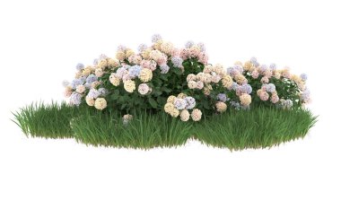 Field of grass with flowers isolated on white background. 3d rendering - illustration