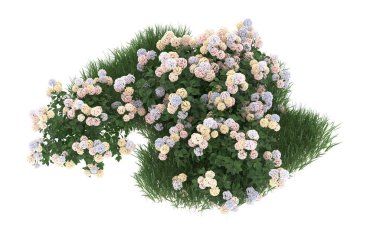 Field of grass with flowers isolated on white background. 3d rendering - illustration