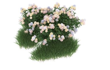 Field of grass with flowers isolated on white background. 3d rendering - illustration