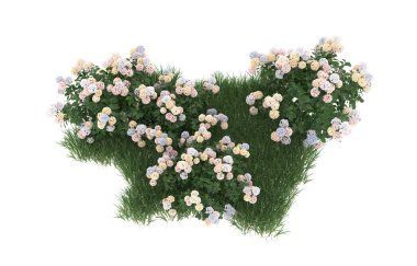 Field of grass with flowers isolated on white background. 3d rendering - illustration
