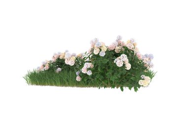 Field of grass with flowers isolated on white background. 3d rendering - illustration