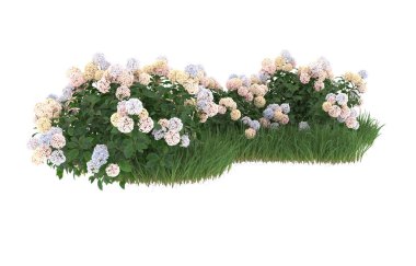 Field of grass with flowers isolated on white background. 3d rendering - illustration