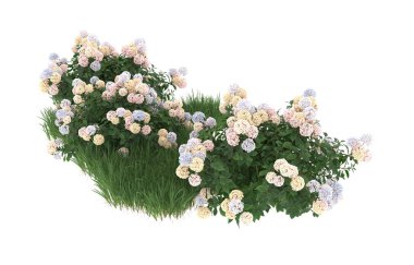 Field of grass with flowers isolated on white background. 3d rendering - illustration