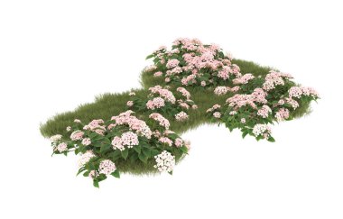 Field of grass with flowers isolated on white background. 3d rendering - illustration