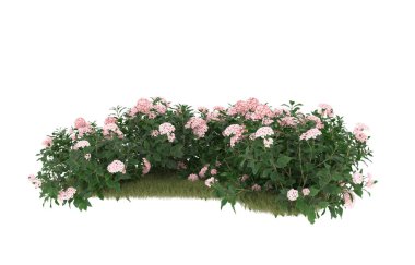 Field of grass with flowers isolated on white background. 3d rendering - illustration