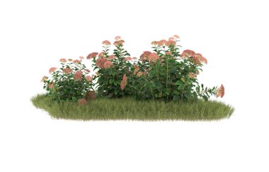 Field of grass with flowers isolated on white background. 3d rendering - illustration