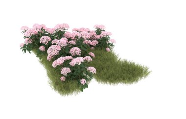 Field of grass with flowers isolated on white background. 3d rendering - illustration