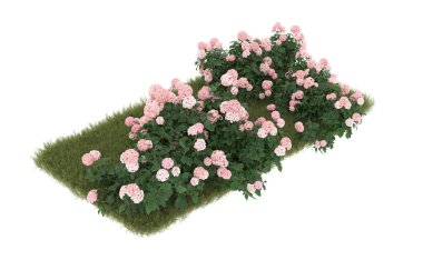 Field of grass with flowers isolated on white background. 3d rendering - illustration